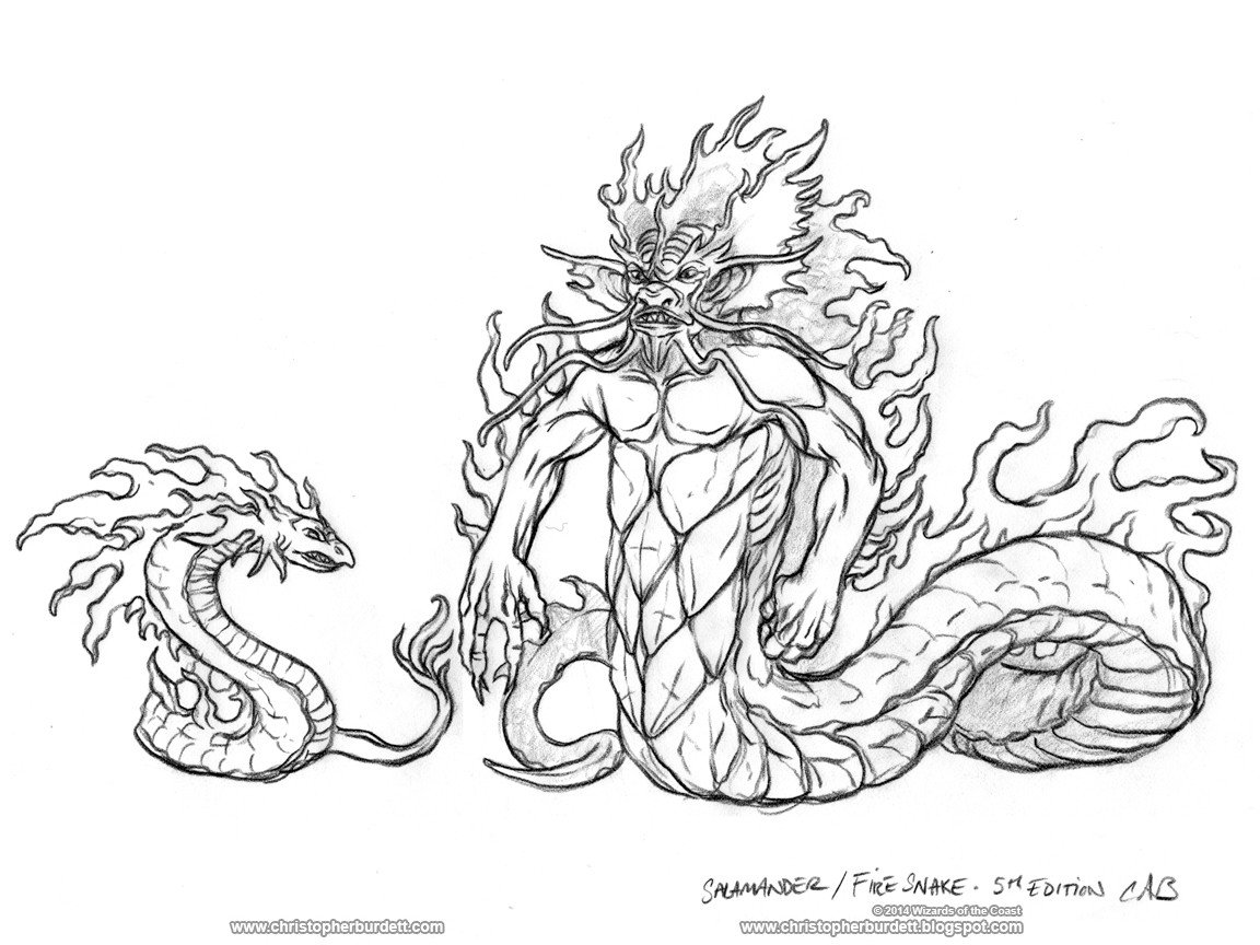 1152x864 Dungeons Amp Dragons - Salamander Sketch