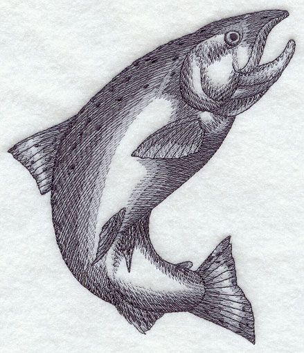 439x509 Machine Embroidery Designs - Salmon Sketch