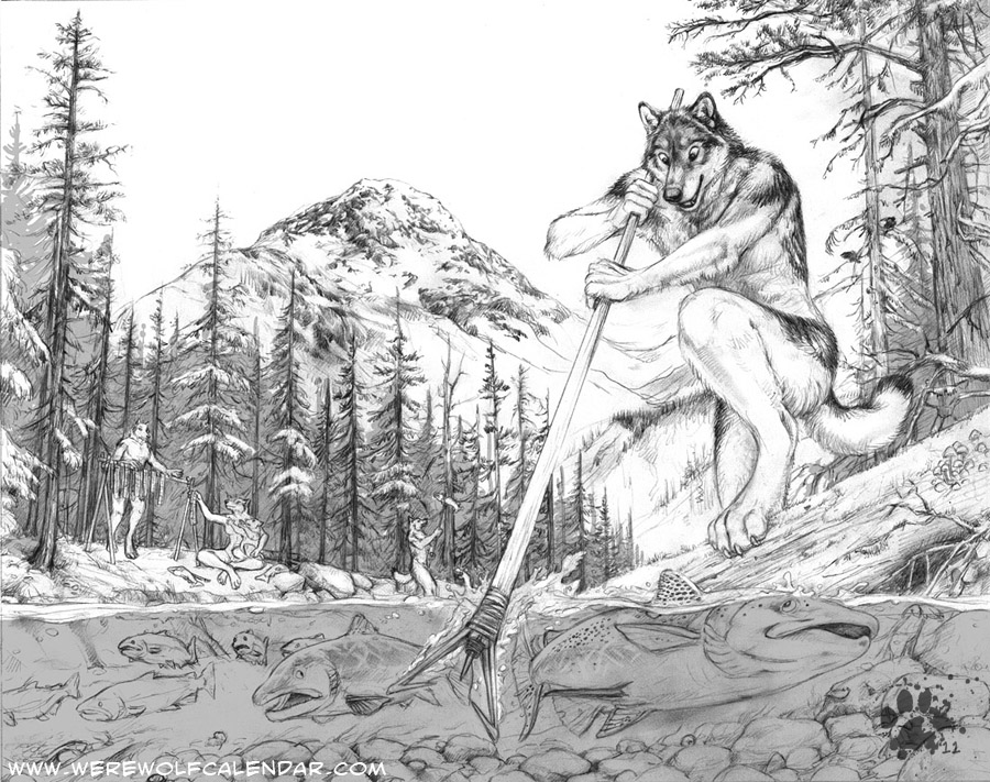 900x711 Salmon Run - Salmon Sketch