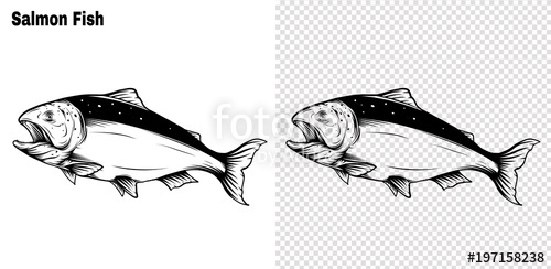 500x244 Salmon Art Highly Detailed In Line Art Style.fish Vector By Hand - Salmon Sketch