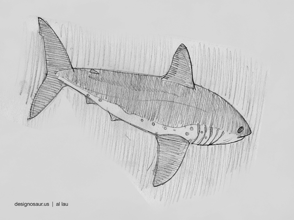 600x450 Sketch Salmon Shark Blog.designosaur.us - Salmon Sketch