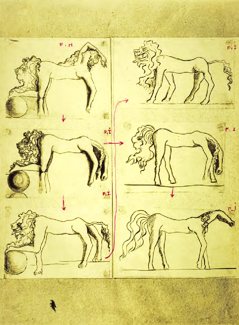 798x1085 Salvador Photograph Of Sketches For Invisible Sleeping Woman - Salvador Dali Sketches