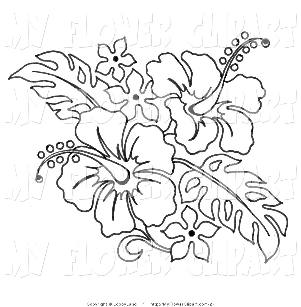 1024x1044 Flowers Color Clipart Sampaguita - Sampaguita Sketch