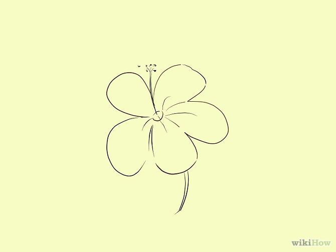 670x503 Pictures Sampaguita Easy To Draw, - Sampaguita Sketch