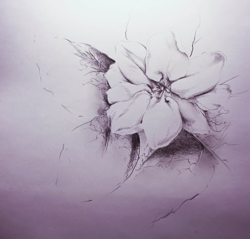 506x482 Sampaguita Tatt Sketch For Jon Ambubuyog - Sampaguita Sketch