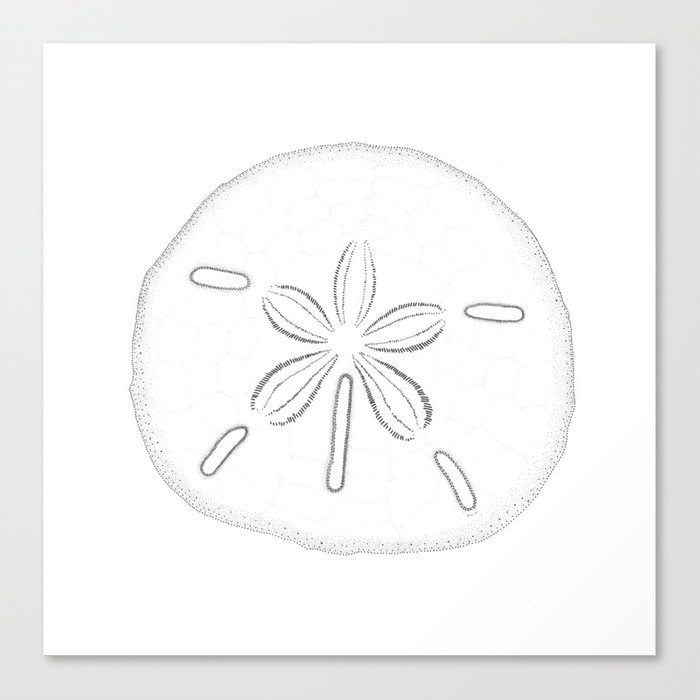 700x700 Sand Dollar Blessings - Sand Dollar Sketch