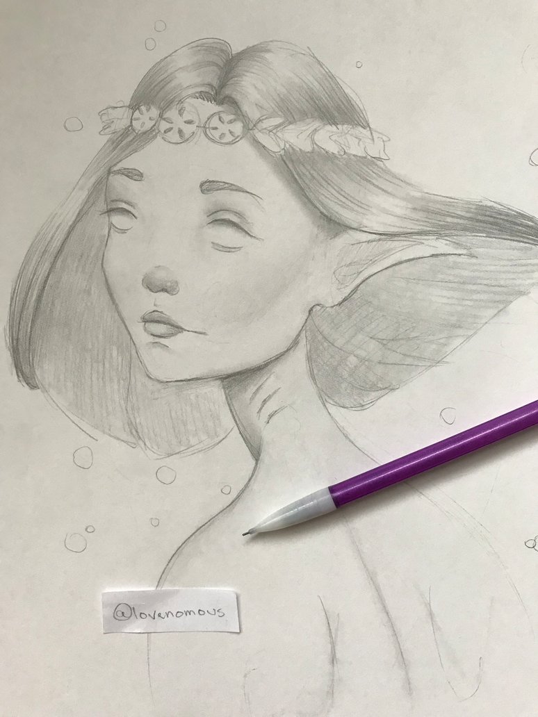 774x1032 Sand Dollar Mermaid Sketch By Lovenomous - Sand Dollar Sketch