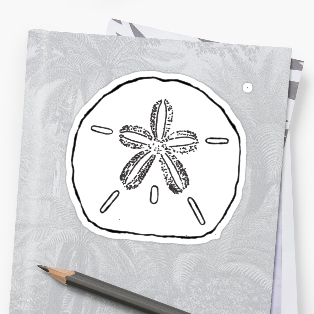 1000x1000 Sand Dollar Stickers By Janesdaughter Redbubble - Sand Dollar Sketch