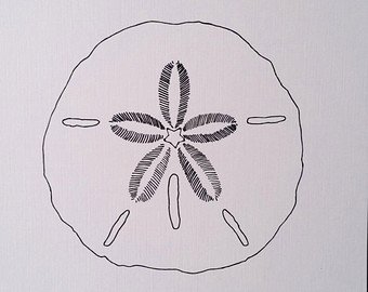 340x270 Sand Dollar Drawing Etsy - Sand Dollar Sketch