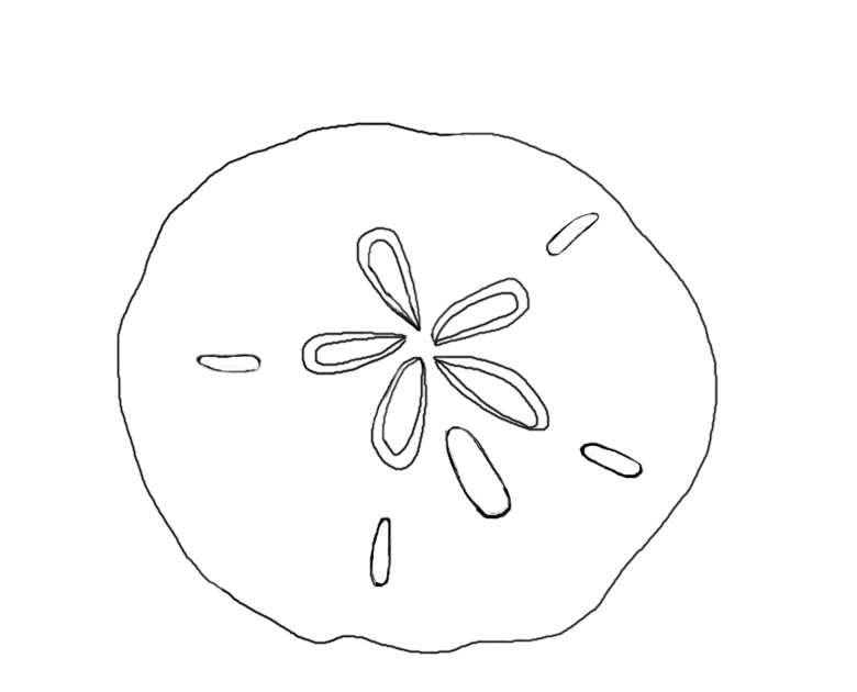 780x630 The Kitchen Table Crafter Free Digi Sketch Sand Dollar - Sand Dollar Sketch