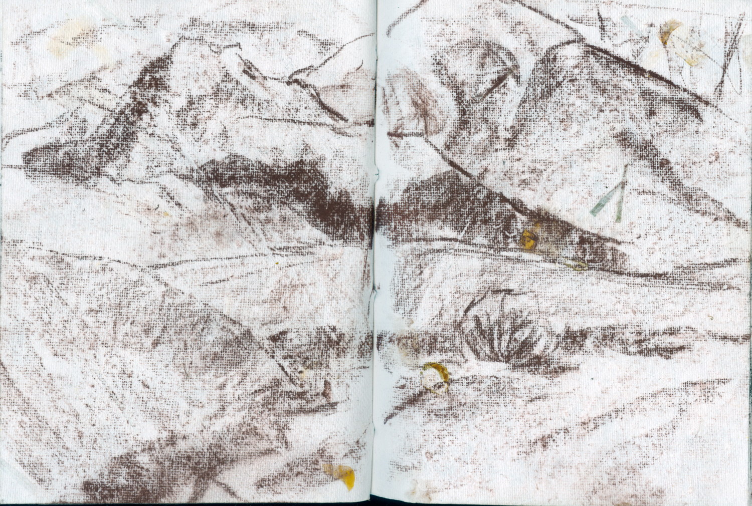 1500x1010 Field Studies From Great Sand Dunes And Valles Caldera The Benthos - Sand Dunes Sketch