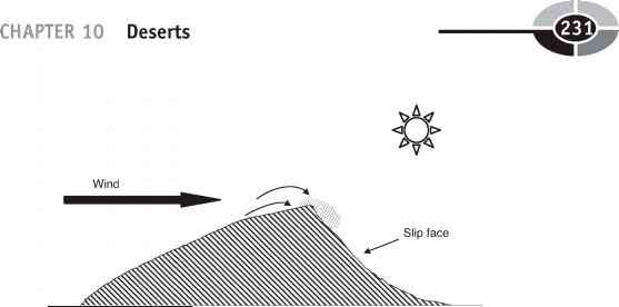 557x276 4 Types Of Sand Dunes - Sand Dunes Sketch