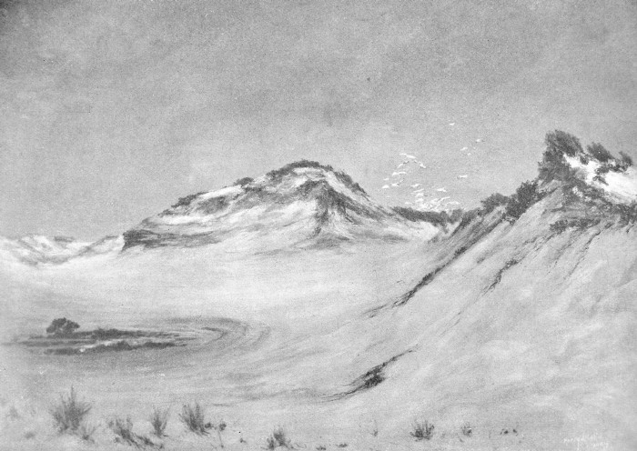 700x496 Sand Dunes And Salt Marshes Chapter 6 - Sand Dunes Sketch