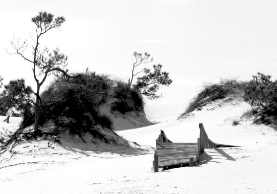 550x385 St George Sand Dunes - Sand Dunes Sketch