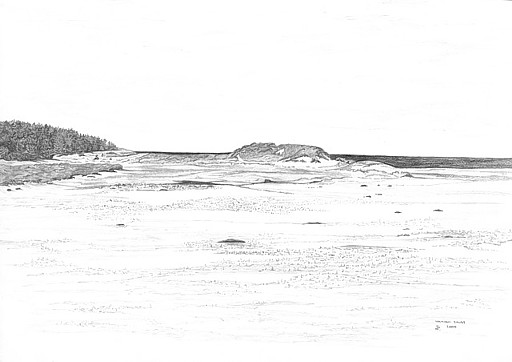 512x362 Rebecca Tindall Fine Art, Oils, Water Colours, Water Colors - Sand Sketch