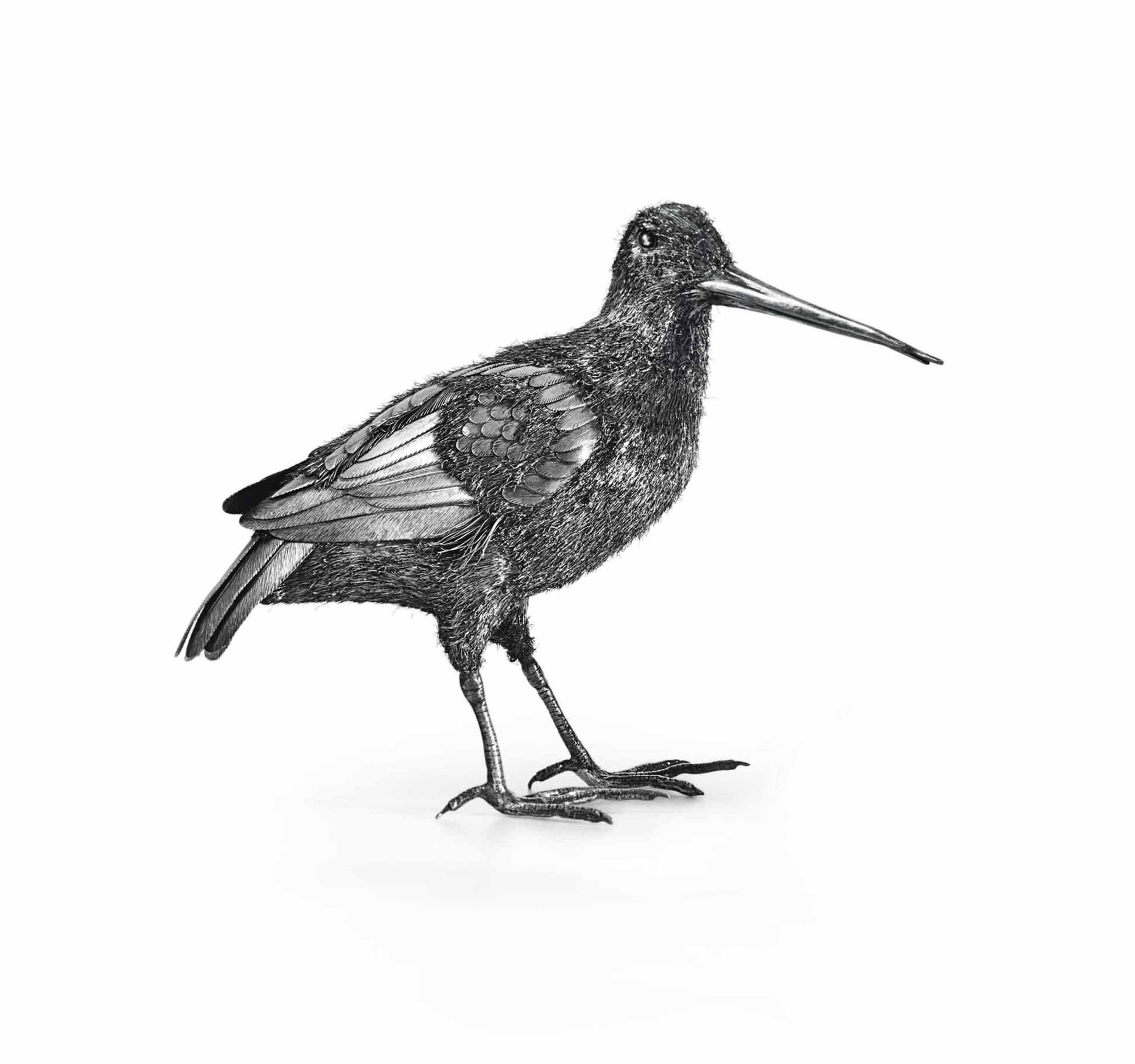 3200x3000 An Italian Silver Model Of A Sandpiper 20th Century, Probably - Sandpiper Sketch