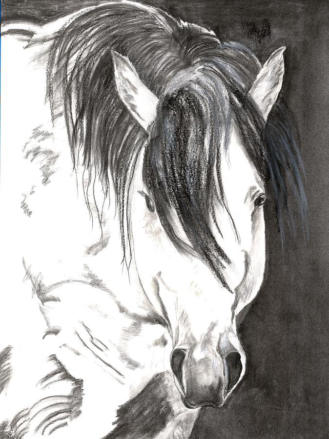 674x900 Silver Sketch Painting By Sandy Dimond - Sandy Sketch