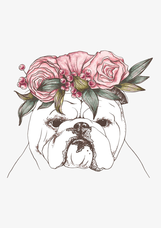 650x919 Sketch Of Sandy Dog, Dog Clipart, Shapi Dog, Sketch Png Image And - Sandy Sketch