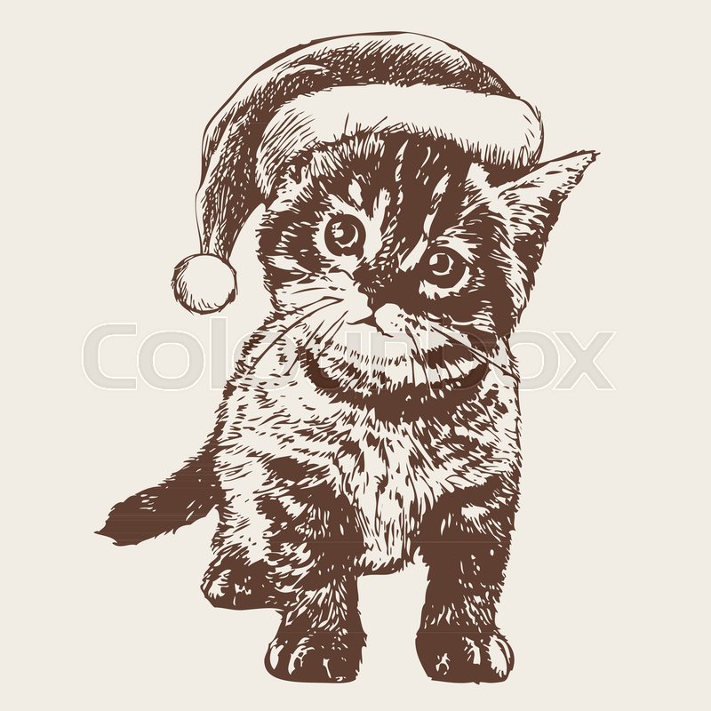 800x800 Freehand Sketch Illustration Of Little Cat, Kitten With Christmas - Santa Hat Sketch