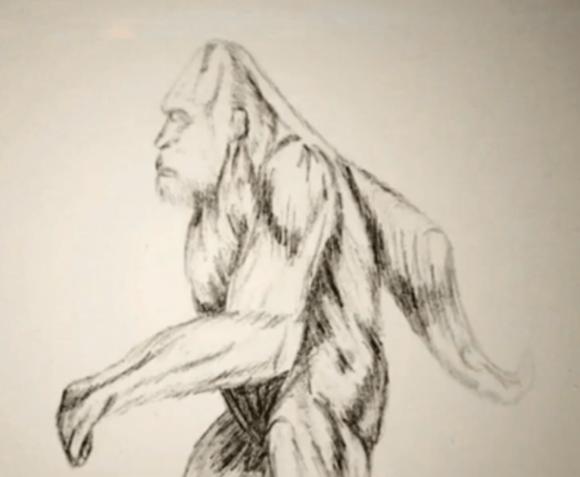 522x429 Colorado Sasquatch Sketch Ufos,bigfoot And Other Weird Stuff - Sasquatch Sketch