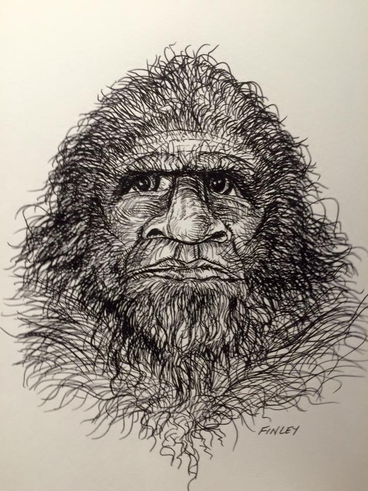 720x960 Experiencer Story, By Michelle Brown, From Ny Sasquatch Close - Sasquatch Sketch