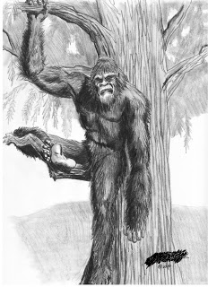 232x320 North American Bigfoot Eyewitness Drawings From The Phillipines - Sasquatch Sketch