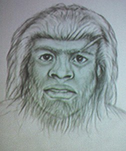 252x301 Psychic Bigfoot Hunter Claims To See Sasquatch, Sketch Looks Human - Sasquatch Sketch