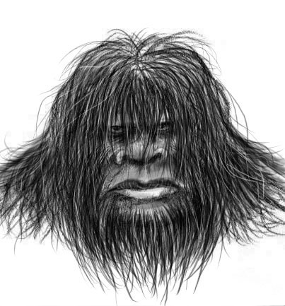 403x433 The Search For Bigfoot The Bigfoot Sketch Project - Sasquatch Sketch
