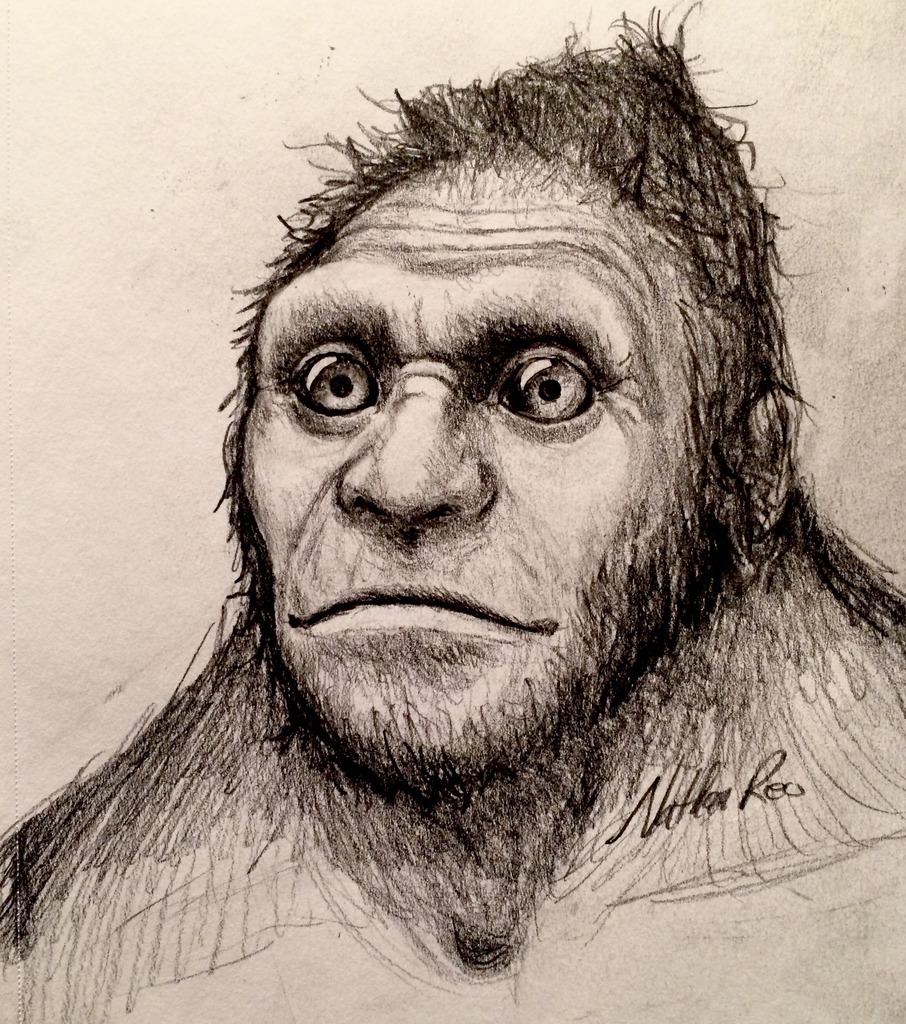 Sasquatch Sketch at PaintingValley.com | Explore collection of ...