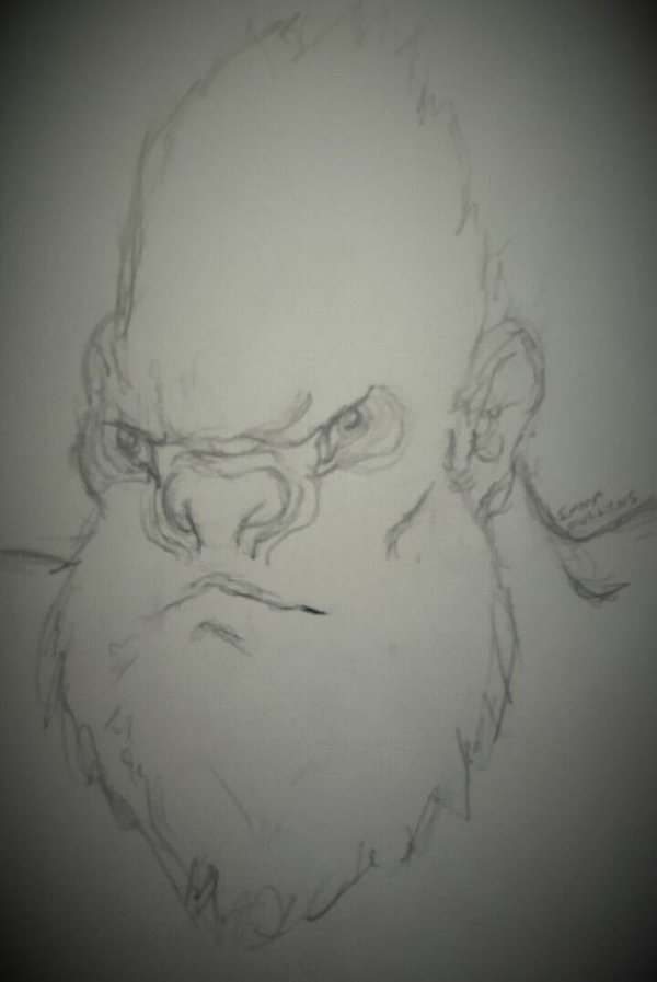 600x897 Sasquatch Sketch By Mamasaurus - Sasquatch Sketch