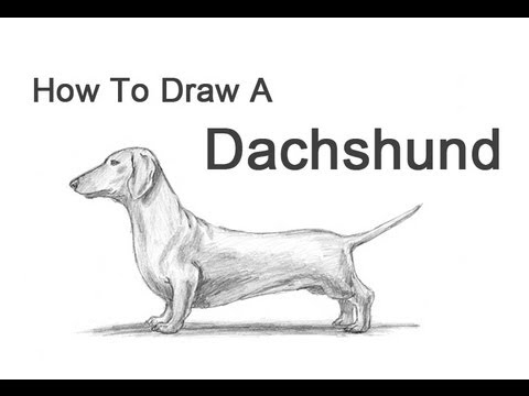 480x360 How To Draw A Dog (Dachshund) - Sausage Dog Sketch