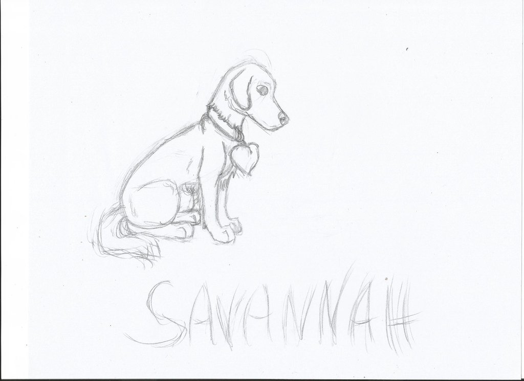 1024x745 Lo A Savannah Sketch By Maltes Kennels - Savannah Sketch