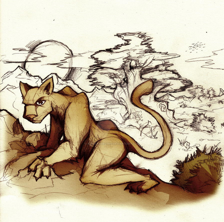 897x891 Savannah Sketch By Alessandelpho - Savannah Sketch