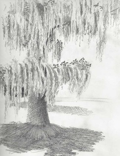 244x317 Sketchbook Blog - Savannah Sketch