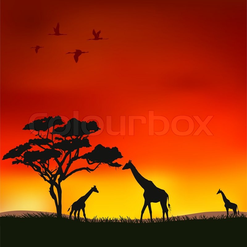 800x800 The Figure Shows The Giraffes On A Red Background Stock Vector - Savannah Sketch