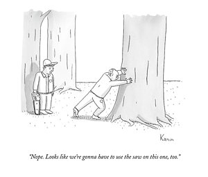 300x255 Tree Saw Drawings Fine Art America - Saw Sketch