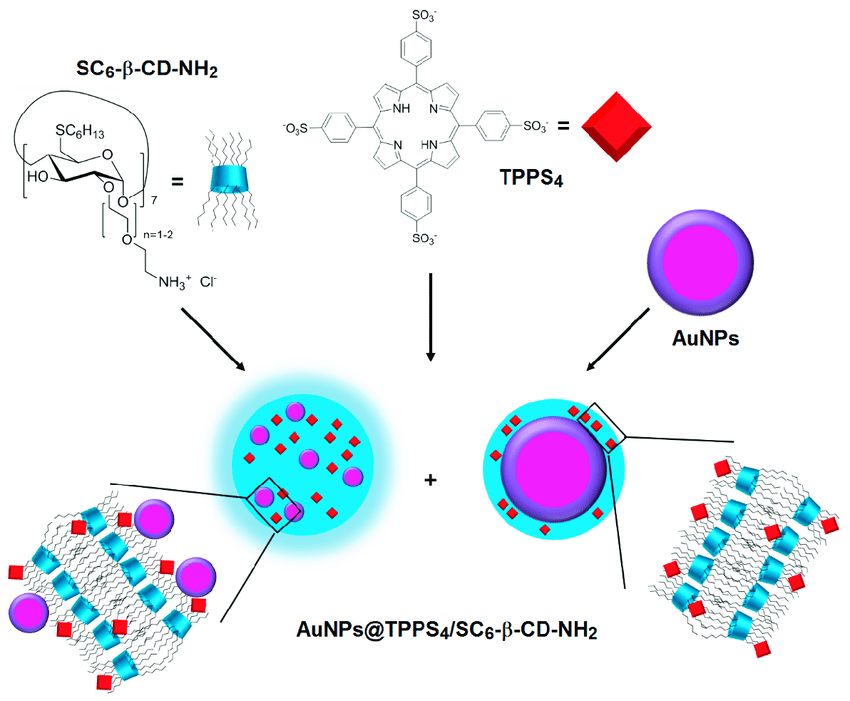 850x701 Sketch (Not To Scale) Of The Two Typologies Of Ternary - Scale Sketch