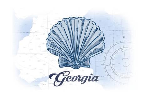 473x315 Georgia - Scallop Shell Sketch