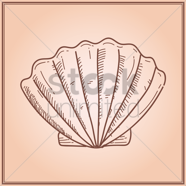 600x600 Scallop Shell Vector Image - Scallop Shell Sketch