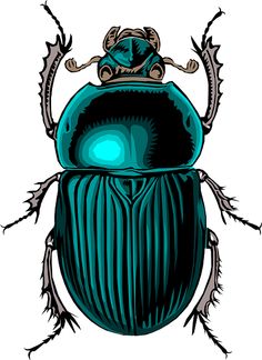 236x324 Drawn Mosquito Scarab Beetle - Scarab Beetle Sketch