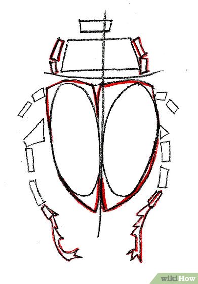 391x559 How To Draw A Scarab Beetle 9 Steps (With Pictures) - Scarab Beetle Sketch