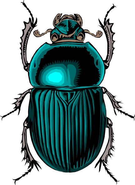 Scarab Beetle Sketch At Explore Collection Of Scarab Beetle Sketch 3481