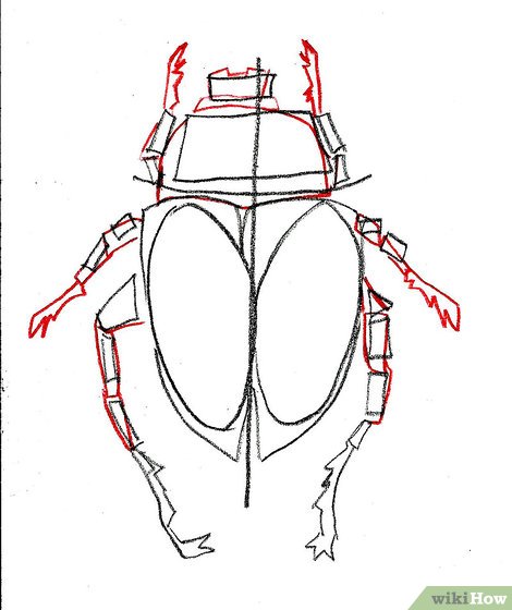 470x560 How To Draw A Scarab Beetle 9 Steps (With Pictures) - Scarab Sketch