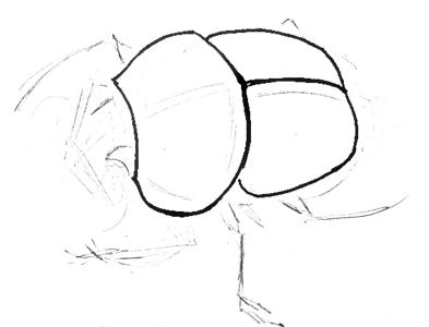393x300 How To Draw A Scarab Beetle - Scarab Sketch