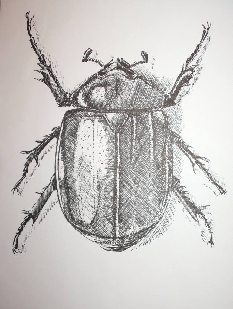 770x1021 Scarab Drawing By Darin Wood Saatchi Art - Scarab Sketch