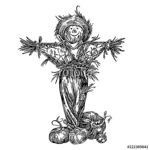 500x500 Rustic Fun Scarecrow And Ripe Pumpkins. Sketch. Engraving Style - Scarecrow Sketch