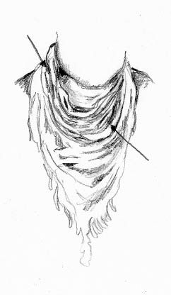 242x416 How To Draw A Scarf - Scarf Sketch