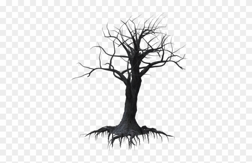 840x545 Spooky Tree Clipart - Scary Tree Sketch