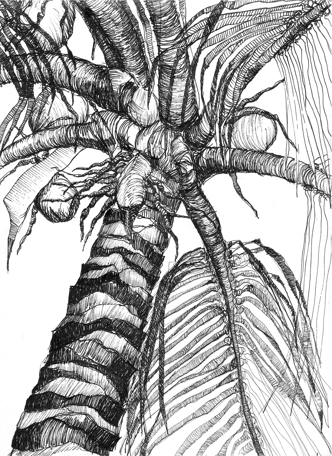 1166x1600 The Night Shift Another Take On A Palm Tree - Scary Tree Sketch