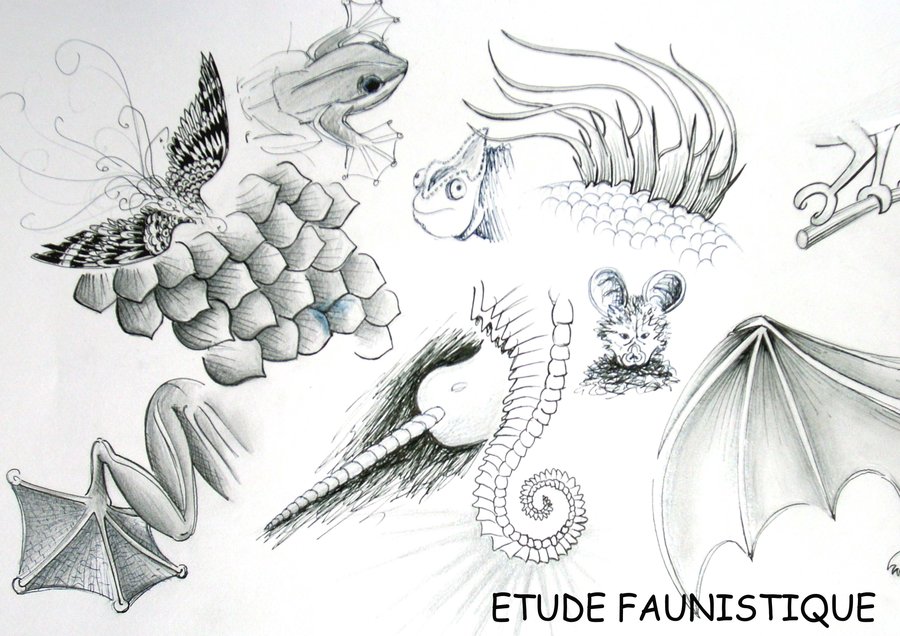 900x636 Animals Sketches By Schizophrenia - Schizophrenia Sketches